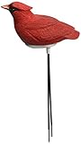 Mark Feldstein & Associates PPCD Plant Pal Cardinal (Discontinued by Manufacturer)