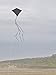 In the Breeze 2996 — Black Diamond Kite, 30-inch, Easy-Flying Kite for Kids, Teens, Adults