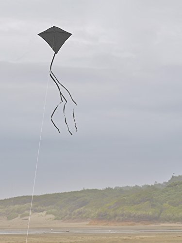 1 Breeze+Black+Diamond+Kite