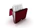 Samsill Duo 2-in-1 Document and File Organizer, 1 Inch 3 Ring Binder + 7 Pocket Accordion/Expanding File, Burgundy