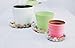 TRUEDAYS 6 Inch 5 Pack Clear Plant Saucers Flower Pot Tray Excellent for Indoor & Outdoor Plants