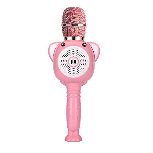 List of the Top 10 karaoke microphone kids bluetooth you can buy in