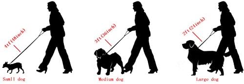 3ft dog leash Clearance