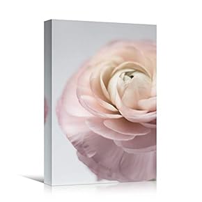 signwin Canvas Wall Art Pink Petal Close Up...