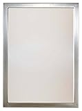Minka-Lavery 1430-84 Mirror Brushed Nickel Paradox