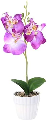 Amazon 1つの胡蝶蘭鉢植えの人工蘭の花 葉のシミュレーションの花の家のクリスマスの装飾盆栽ギフト E 造花 オンライン通販