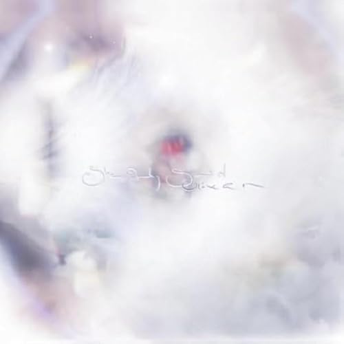 Amazon.com: Duality - Electric Blue: CDs & Vinyl