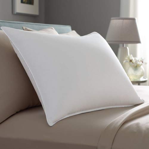 Pacific Coast Down Surround Standard Size 2-Pillow Set With 2 Standard Size Pillowtex Pillow Protectors