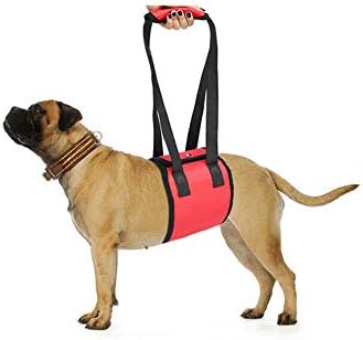 背もたれ用犬車椅子 犬のウエストベルト 3つのサイズ赤い犬犬犬のペット牽引ベルトペット保護ベルト犬のベルト 車輪付き犬用カート Size M B07xcnqgpx 1 954円