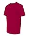 Hanes Cool DRI TAGLESS Men T-Shirt,Deep Red,Large