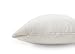 Waterguard Waterproof Pillow Protectors Quilted, Zippered Pillow Cases, 100% Cotton Top, Microfiber Filled Pillow Covers, Queen Size (20x30) Set of 2