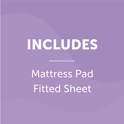 SwaddleMe By Your Side Sleeper