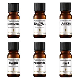 Amphora Aromatics TOP 6 Essential Oil Set, 10ml Pure Essential oils, Lavender, Eucalyptus, Sweet Orange, Peppermint, Lemongrass & Tea Tree.