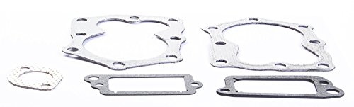 Briggs & Stratton 498528 Valve Gasket Set