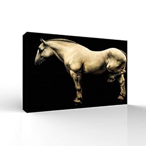 Galloping Horse Painting for Bedroom Living Room