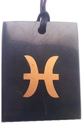 Karelia Pendant Made of Natural Shungite Rectangle, Karelian Shungite Emf Protection Jewelry Crystal Zodiac Sign (Pisces)