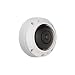 Axis 0556-001 M3027-Pve 5 Megapixel Network Camera M12-Mount (White) primary