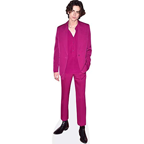 Timothee Chalamet (Purple Suit) Mini Cutout - Thumbnail 5
