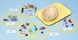 Animal Family Classification Kit
