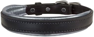 Perri's Leather Metallic Padded Leather Dog Collar, X-Large, Black/Silver