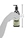 Avalon Organics Hand & Body Lotion, Aloe Unscented, 12 Oz