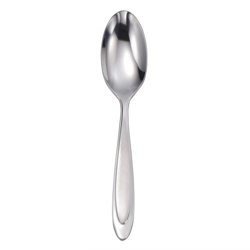 Oneida Aurora Large Serving Spoon
