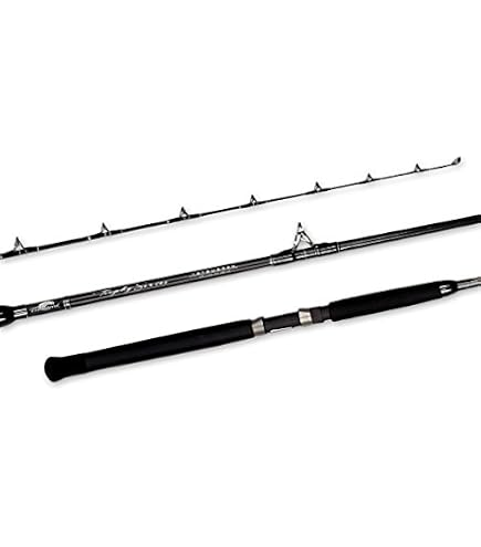 Tsunami TSTBC 661HW 6 ft. 6 in. Trophy Series Wire Line Rod : Spinning Fishing Rods : Sports & Outdoors