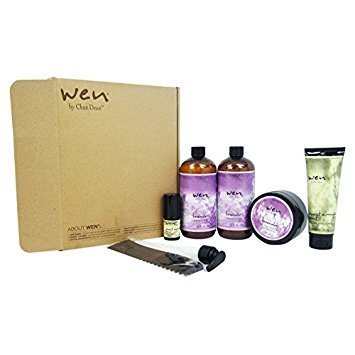 Buy Chaz Dean Wen Hair Care Deluxe Kit Lavender 6 Count Online