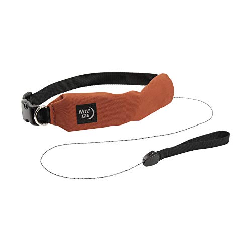 Nite Ize Raddog AllinOne Collar + Leash Combo, Dog Collar with Built