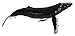 Safari Ltd. Humpback Whale Figurine - Lifelike 14