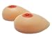 Envy Body Shop Silicone Breast Forms L (800g) Size 34D, 36C, 38B