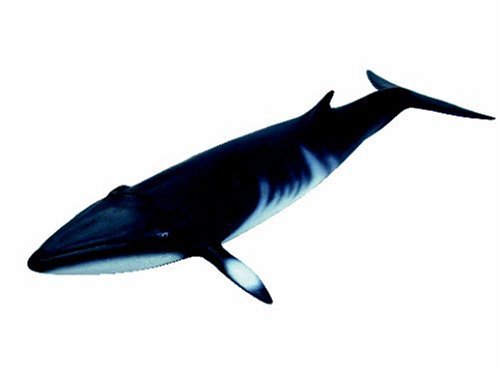 schleich humpback whale