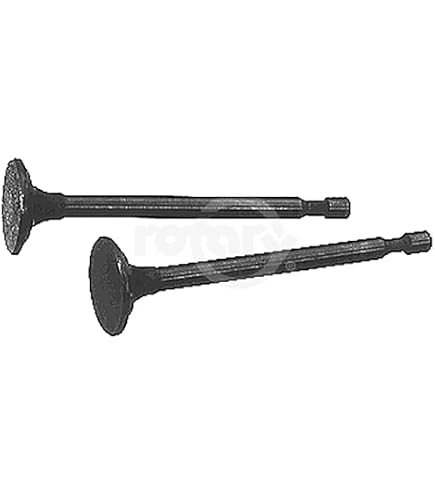 gen　② Amazon.com: B&S Intake Valve Replaces B&S 261044 : Automotive