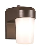 ALL-PRO FE13PC, 13W Fluorescent Entry Light With Photo Control, Bronze