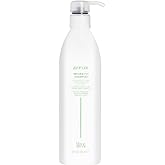 ALOXXI Reparative Hair Repair Shampoo for Damaged Hair with ColourCare Complex and Advanced Recovery Technology Cleanses Over-Processed Hair, 10.1 Fl Oz