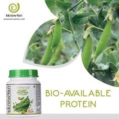 WELLANECE PLANT PROTEIN POWDER 500GM