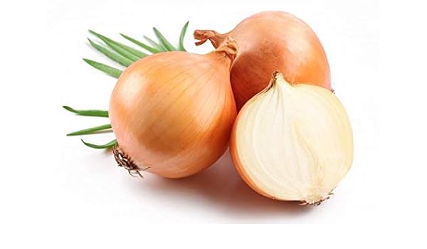 Cebolla