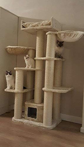 Arbre A Chat Geant Grand Chat Xxl Maine Coon Fantasy Beige Pour Gros Chats Produit De Qualite Rhrquality Amazon Fr Animalerie