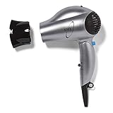 Ion Dual Voltage Ionic Travel Hair Dryer