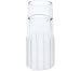 Trophy Skin Pore Extraction Tip - Pore Vacuum Cleaner for Microdermabrasion Machine - Professional Pore Extractor with Gentle Facial Suction to Help Clear Blackheads and Whiteheads