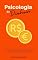 Livro Psicologia do Dinheiro: Entendendo e Cultivando uma Relação Equilibrada com suas Finanças