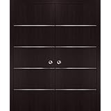 Sliding pocket doors interior