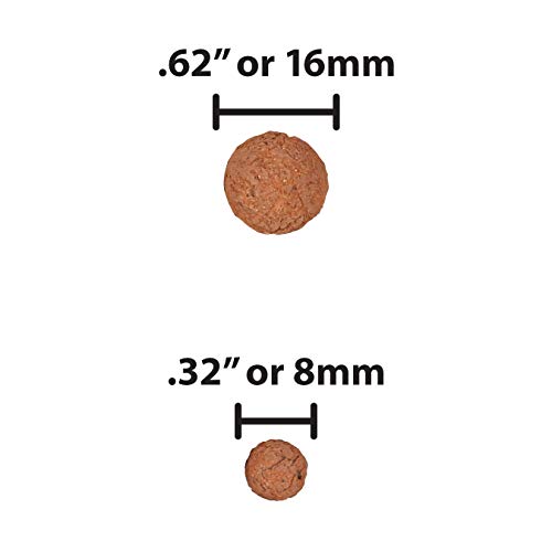 3 Hydroton+Original+Clay+Pebbles+Lightweight
