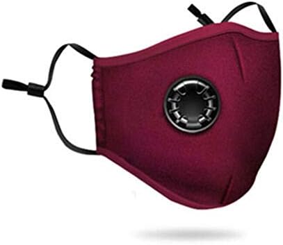 ZHISIDA Anti Pollution Masks Washable PM2.5 Foldable Mask with Valve and Activated CarbonFilters