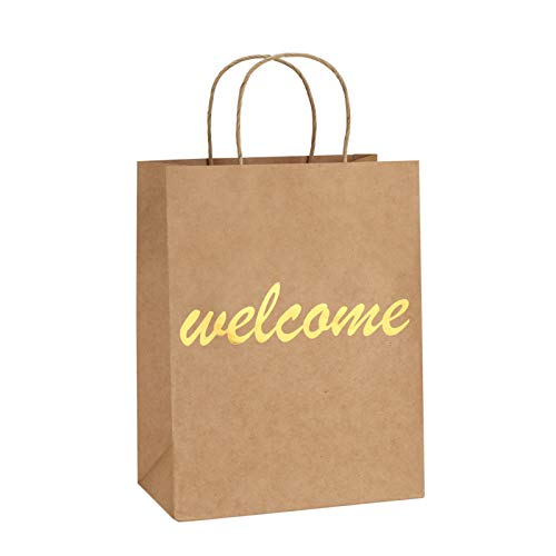 BagDream Brown Gift Bags with Handles 25Pcs 8x4.25x10.5 Welcome Paper Gift Bags for Shopping, Wedding Birthday Party Favor, Retail, Merchandise, Business, Recycled Medium Paper Sacks