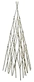 Bonide Products TP60 Bamboo Teepee Trellis for Climbing Plants, 60 Inches (When Open), 1 Trellis