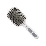 Kent AHP13 Kent Hair Brush