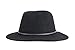 Brixton Men's Wesley Fedora