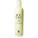 Graham Webb Ice Cap Hypothermic Bonding Conditioner 16 Fl