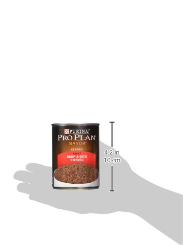 AMERICAN DISTRIBUTION & PRO 13OZ BEEF DOG FOOD – TV164116, 1COUNT